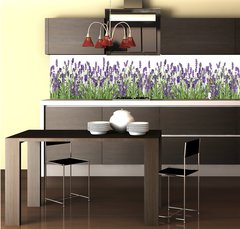 Fototapeta do kuchyn flie 260 x 60, 107877649 - Lavender flowers. Fresh lavender plants isolated on white