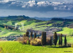 Fototapeta vliesov 100 x 73, 108374641 - Houses with cypress trees in a green spring day.