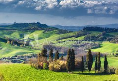 Fototapeta vliesov 145 x 100, 108374641 - Houses with cypress trees in a green spring day.