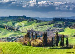 Fototapeta vliesov 200 x 144, 108374641 - Houses with cypress trees in a green spring day.