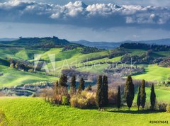 Fototapeta vliesov 270 x 200, 108374641 - Houses with cypress trees in a green spring day.