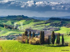 Fototapeta papír 360 x 266, 108374641 - Houses with cypress trees in a green spring day. - Domy s cypřiši v zeleném jarním dni.