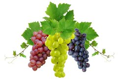 Samolepka flie 145 x 100, 10964464 - Three fresh grapes