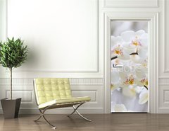 Samolepka na dvee flie 90 x 220  Vibrant holiday background with beautiful close up white orchid flower branch , 90 x 220 cm