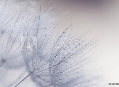 Samolepka flie 100 x 73, 110156010 - Plant seeds with water drops