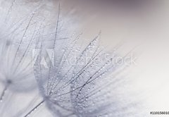 Samolepka flie 145 x 100, 110156010 - Plant seeds with water drops