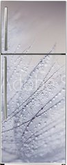 Samolepka na lednici flie 80 x 200, 110156010 - Plant seeds with water drops