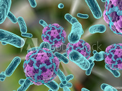 Samolepka flie 270 x 200, 110321094 - Bacteria and hepatitis A virus