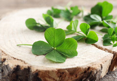 Fototapeta vliesov 145 x 100, 110661857 - Green clover leaves on a piece of wood, closeup