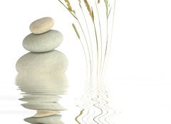 Samolepka flie 100 x 73  Zen Beauty, 100 x 73 cm
