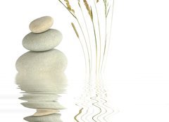 Samolepka fólie 200 x 144, 11241358 - Zen Beauty