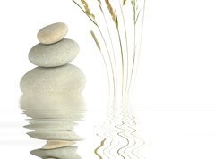 Samolepka flie 270 x 200, 11241358 - Zen Beauty