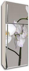 Samolepka na lednici flie 80 x 200, 113446694 - White Phalaenopsis orchid