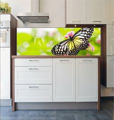 Fototapeta do kuchyn flie 180 x 60  butterfly feeding on a flower, 180 x 60 cm