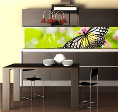 Fototapeta do kuchyně fólie 260 x 60, 11380504 - butterfly feeding on a flower - motýl krmení na květinu