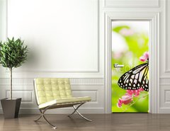 Samolepka na dvee flie 90 x 220  butterfly feeding on a flower, 90 x 220 cm