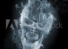 Samolepka flie 100 x 73, 11412559 - Skull - smoke