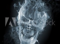 Fototapeta papr 254 x 184, 11412559 - Skull - smoke - krtk veslo