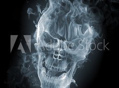 Fototapeta pltno 330 x 244, 11412559 - Skull - smoke