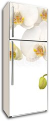 Samolepka na lednici flie 80 x 200, 11459178 - White orchid