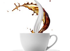 Samolepka flie 270 x 200  coffee and milk, 270 x 200 cm
