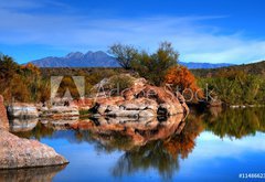 Samolepka flie 145 x 100, 11486623 - Desert Pond