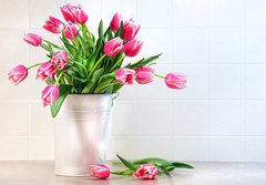 Fototapeta184 x 128  Pink tulips in white metal container, 184 x 128 cm