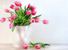 Fototapeta pltno 330 x 244, 11553582 - Pink tulips in white metal container - Rov tulipny v blm kovovm kontejneru