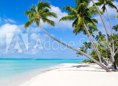 Samolepka flie 100 x 73, 116010752 - Urlaub am Strand