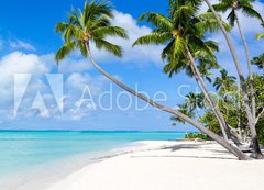 Samolepka fólie 200 x 144, 116010752 - Urlaub am Strand