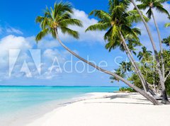 Samolepka flie 270 x 200, 116010752 - Urlaub am Strand