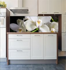 Fototapeta do kuchyn flie 180 x 60  Orchid flowers over black (Cymbidium sp), 180 x 60 cm