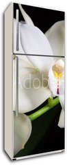 Samolepka na lednici flie 80 x 200  Orchid flowers over black (Cymbidium sp), 80 x 200 cm