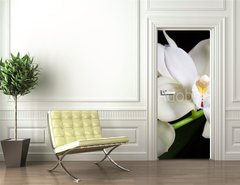 Samolepka na dvee flie 90 x 220  Orchid flowers over black (Cymbidium sp), 90 x 220 cm