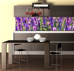 Fototapeta do kuchyně fólie 260 x 60, 117193002 - Blooming lavender in a field at Provence - Kvetoucí levandule na poli v Provence