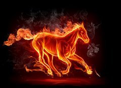 Fototapeta100 x 73  Fiery stallion, 100 x 73 cm