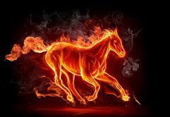 Samolepka flie 145 x 100, 11746508 - Fiery stallion - Ohniv hebec