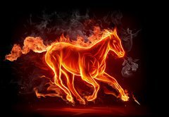 Fototapeta pltno 174 x 120, 11746508 - Fiery stallion