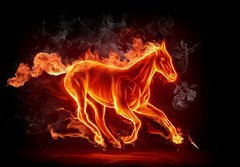 Fototapeta papr 184 x 128, 11746508 - Fiery stallion - Ohniv hebec