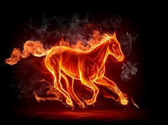 Samolepka flie 270 x 200, 11746508 - Fiery stallion - Ohniv hebec