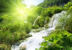 Fototapeta papr 184 x 128, 11750042 - wateterfall in deep forest