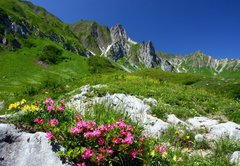 Samolepka flie 145 x 100, 11754961 - spring in the alps