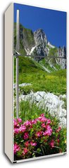 Samolepka na lednici flie 80 x 200, 11754961 - spring in the alps