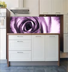 Fototapeta do kuchyn flie 180 x 60  Purple rose, 180 x 60 cm