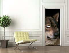 Samolepka na dvee flie 90 x 220  Wolf / Portrait of wolf on black background., 90 x 220 cm