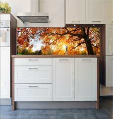 Fototapeta do kuchyn flie 180 x 60, 119517756 - Schne Eiche auf Wiese bei untergehender Sonne im Herbst