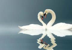 Samolepka flie 145 x 100, 12112158 - Love Swans