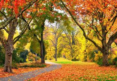 Samolepka flie 145 x 100  Park im Herbst in freundlich warmen Farben, 145 x 100 cm