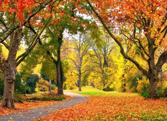 Samolepka flie 200 x 144  Park im Herbst in freundlich warmen Farben, 200 x 144 cm