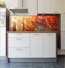 Fototapeta do kuchyn flie 180 x 60, 122248477 - Herbst im Wald, mit Lichtstrahlen im Nebel und rotem Laub